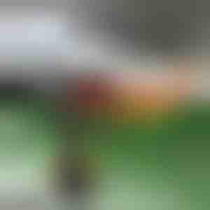 Grejač za auto i odmrzivač vetrobranskog stakla | TURBOCUP