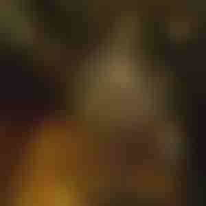 Svetla u obliku zvezde (6 m) | STARYGLOW