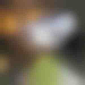 Senzor pokreta na solarni pogon | LUMACAM