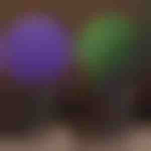 Dekorativna biljna kugla | TOPIORB