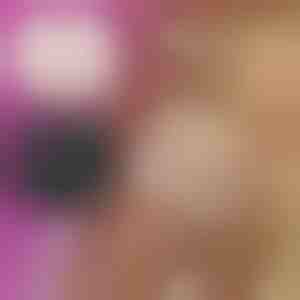 Ženske čipkaste gaćice sa cvetnim motivom (3 kom) | LACEY