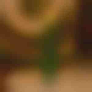 Praznična sveća bez plamena koja treperi | CANDLETREE