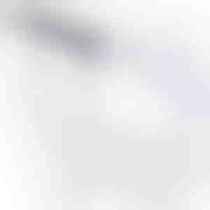 Set za odzračivanje kočnica | BLEEDHOSE