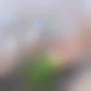 Napredni filter za slavinu sa aktivnim ugljem | CHARFILTER